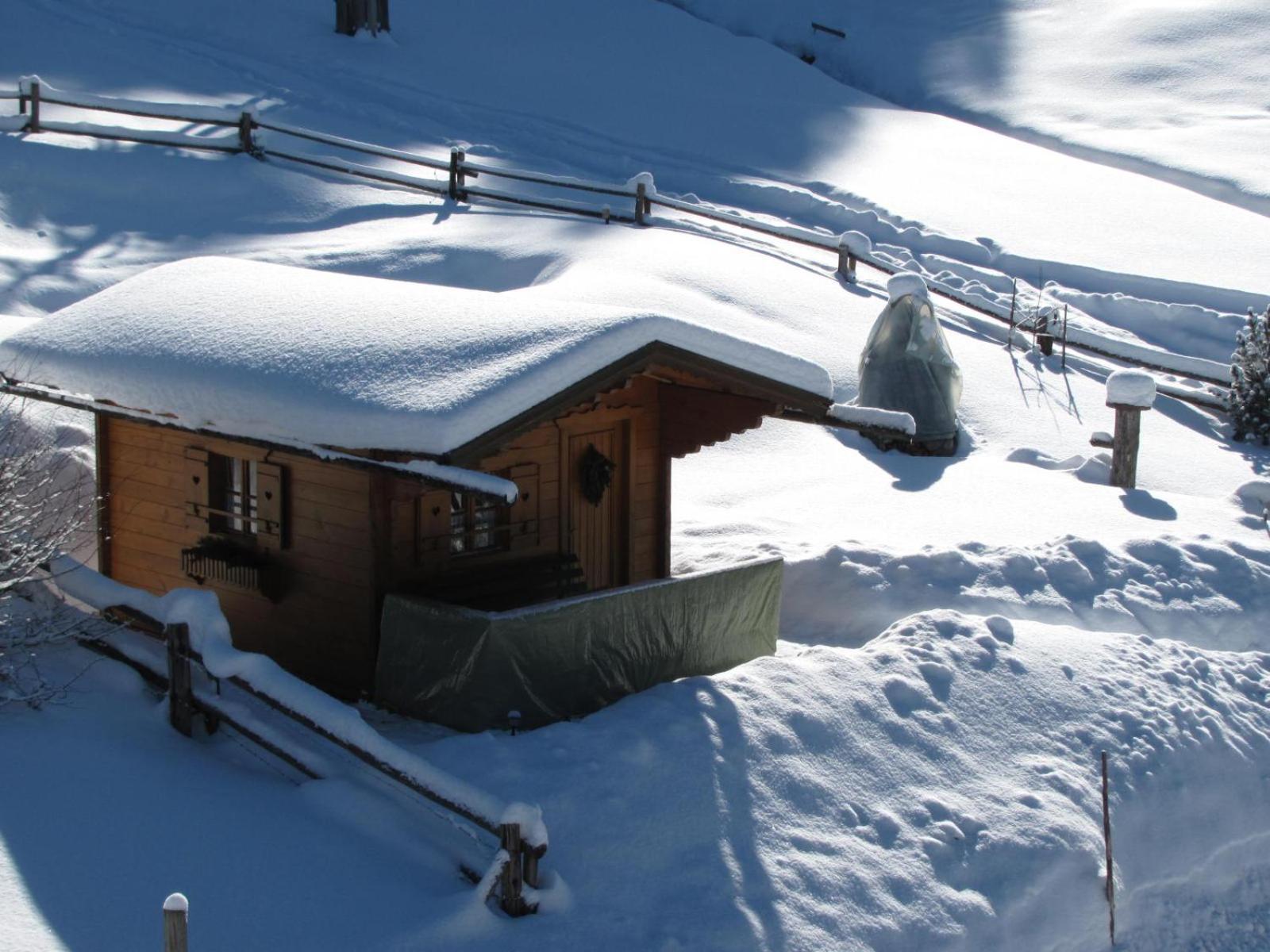 Haus Wallinger Abtenau Exteriör bild