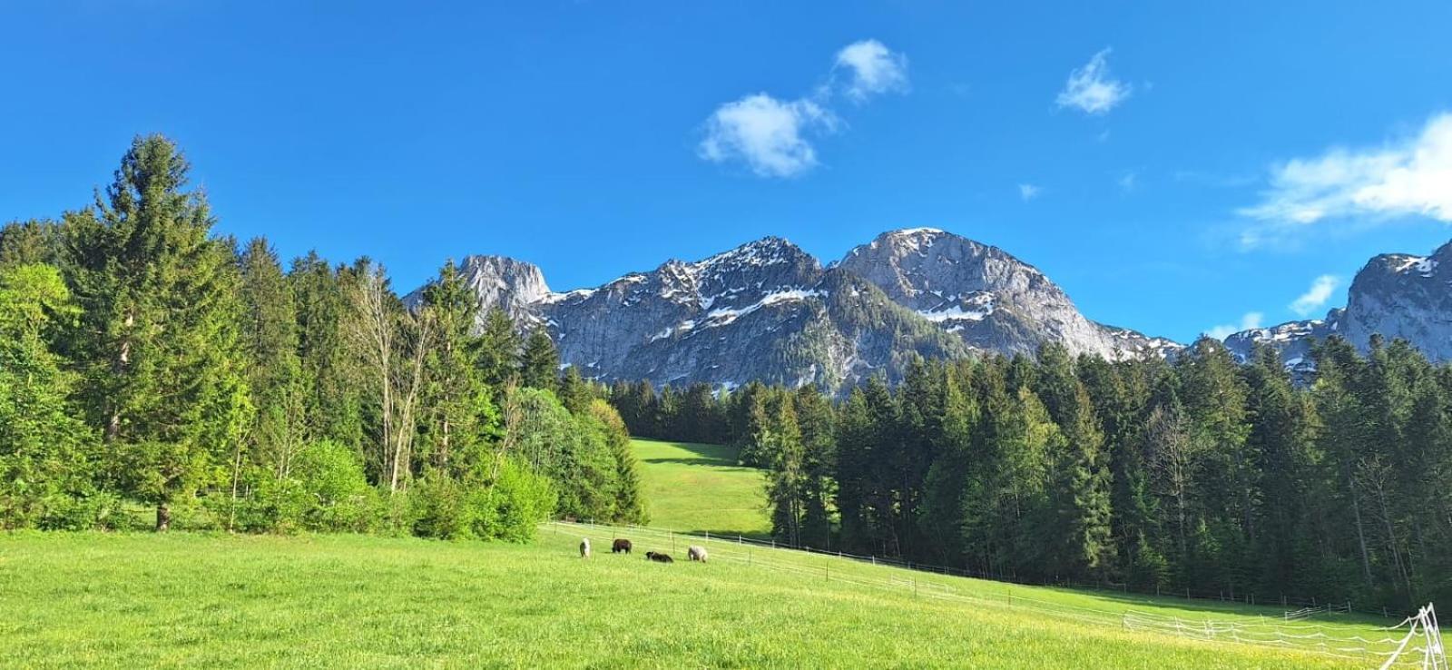 Haus Wallinger Abtenau Exteriör bild