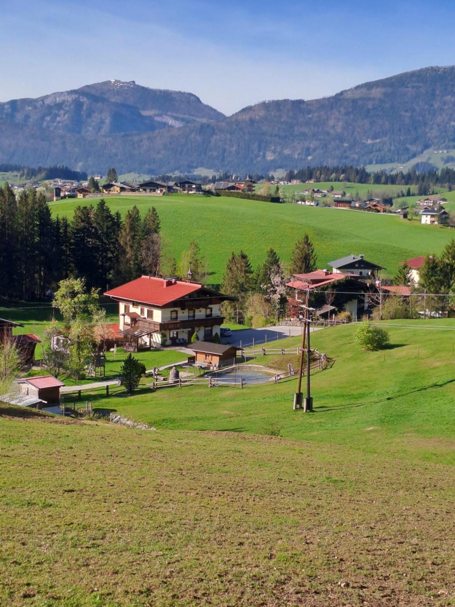 Haus Wallinger Abtenau Exteriör bild